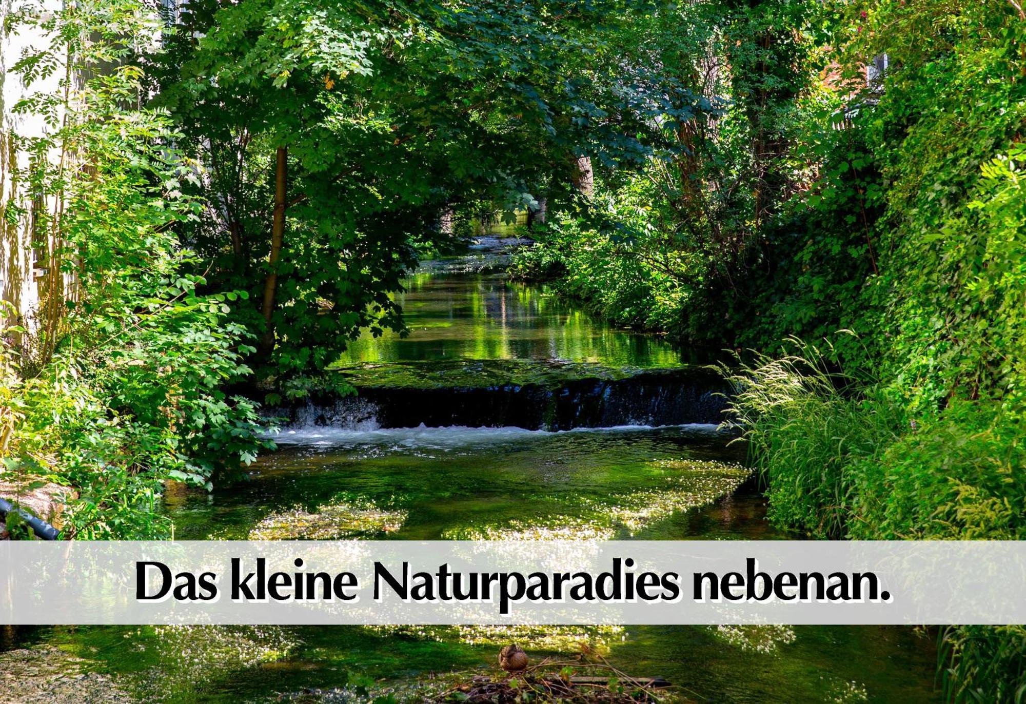 Stadtperle Am Plaetschernden Wasser - 50M2 2R Malerische Fewo In Top Lage Erfurt Dış mekan fotoğraf